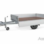 ANSSEMS PLT-1 750.251x150 Pro