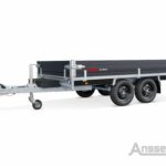 ANSSEMS PSX 2000.325x178 Go-Getter